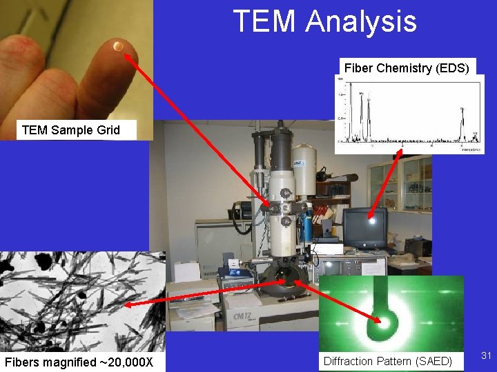 TEM Analysis Fiber Chemistry (EDS) TEM Sample Grid Fibers magnified ~20, 000 X Diffraction