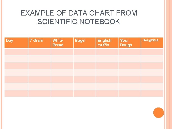 EXAMPLE OF DATA CHART FROM SCIENTIFIC NOTEBOOK Day 7 Grain White Bread Bagel English