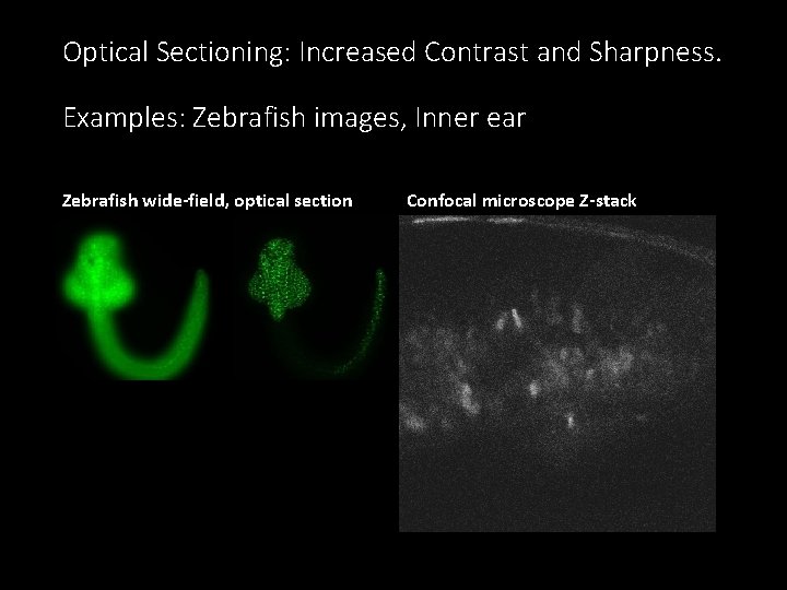 Optical Sectioning: Increased Contrast and Sharpness. Examples: Zebrafish images, Inner ear Zebrafish wide-field, optical