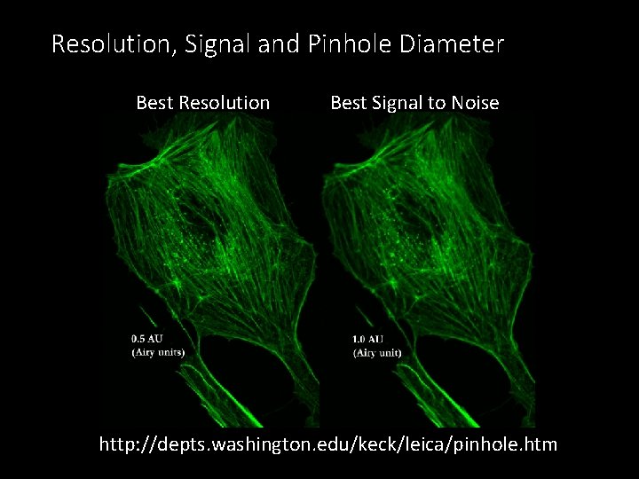 Resolution, Signal and Pinhole Diameter Best Resolution Best Signal to Noise http: //depts. washington.