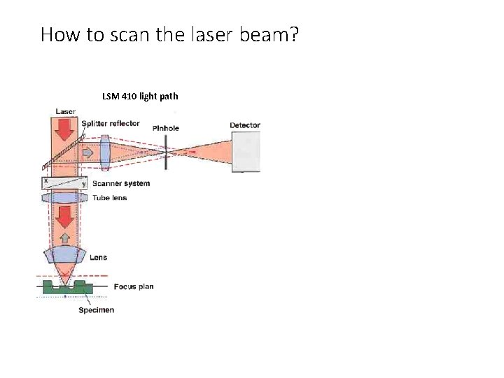 How to scan the laser beam? LSM 410 light path 