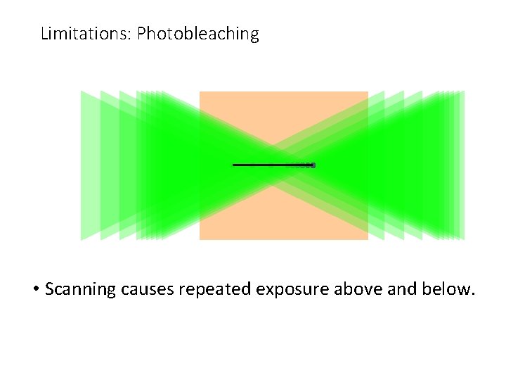 Limitations: Photobleaching • Scanning causes repeated exposure above and below. 