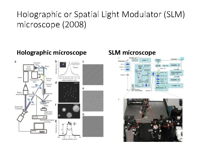 Holographic or Spatial Light Modulator (SLM) microscope (2008) Holographic microscope SLM microscope 