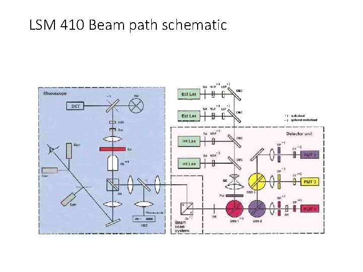 LSM 410 Beam path schematic 