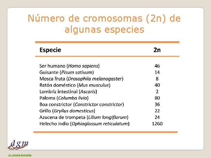 Número de cromosomas (2 n) de algunas especies Dr. Antonio Barbadilla 