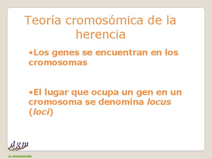 Teoría cromosómica de la herencia • Los genes se encuentran en los cromosomas •