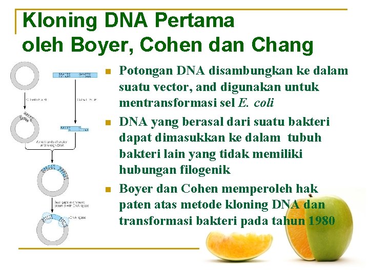 Kloning DNA Pertama oleh Boyer, Cohen dan Chang n n n Potongan DNA disambungkan