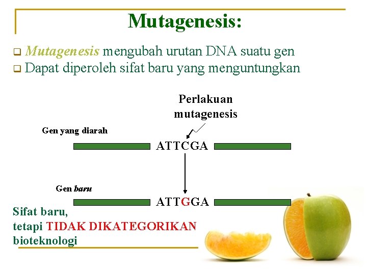 Mutagenesis: Mutagenesis mengubah urutan DNA suatu gen q Dapat diperoleh sifat baru yang menguntungkan