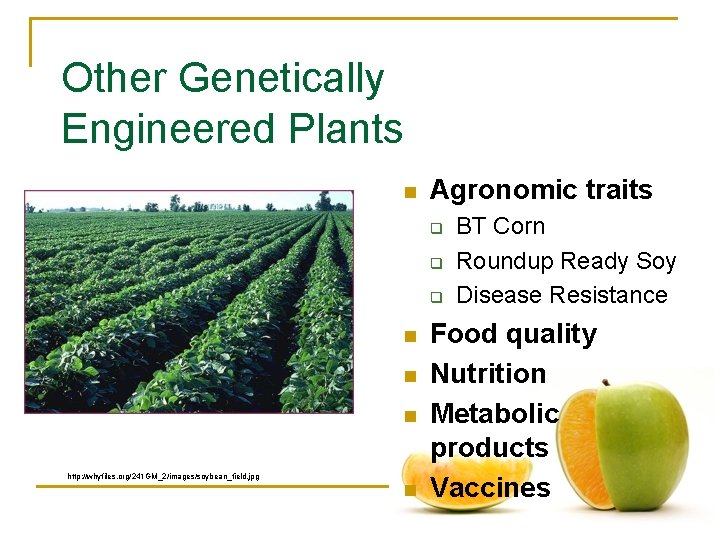 Other Genetically Engineered Plants n Agronomic traits q q q n n n http: