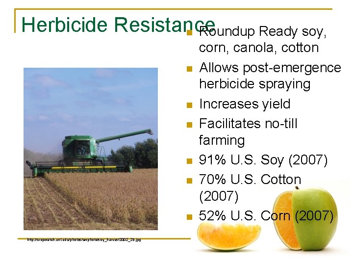 Herbicide Resistance n Roundup Ready soy, n n n http: //cropwatch. unl. edu/photos/cwphoto/soy_harvest 2002_2