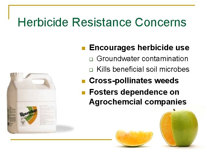 Herbicide Resistance Concerns n Encourages herbicide use q q n n Groundwater contamination Kills