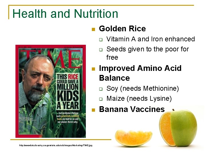 Health and Nutrition n Golden Rice q q n Improved Amino Acid Balance q