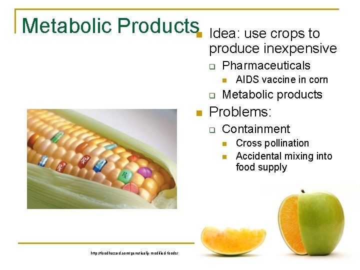 Metabolic Productsn Idea: use crops to produce inexpensive q Pharmaceuticals n q n Metabolic