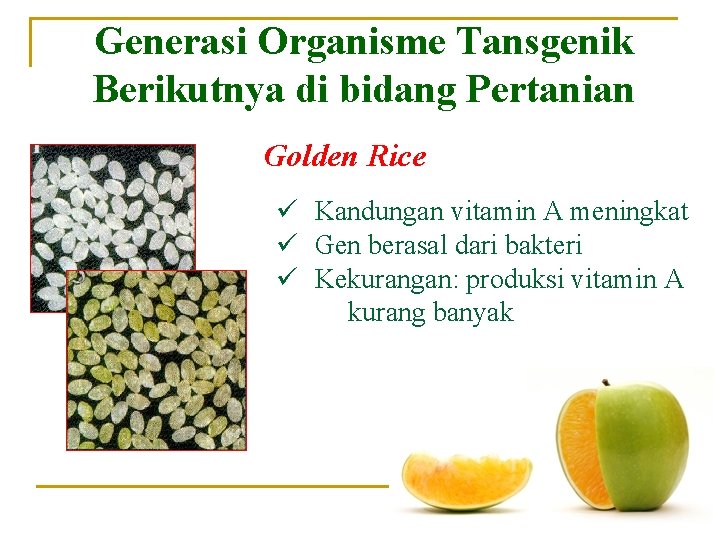 Generasi Organisme Tansgenik Berikutnya di bidang Pertanian Golden Rice ü Kandungan vitamin A meningkat