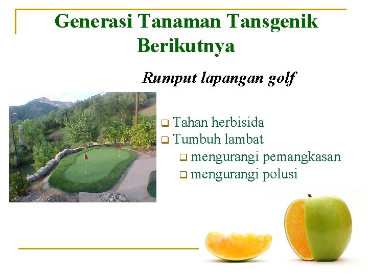 Generasi Tanaman Tansgenik Berikutnya Rumput lapangan golf Tahan herbisida q Tumbuh lambat q mengurangi