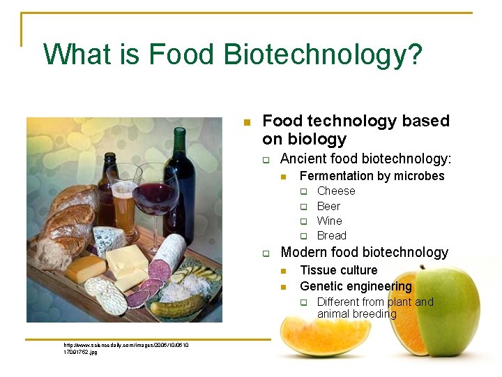 What is Food Biotechnology? n Food technology based on biology q Ancient food biotechnology:
