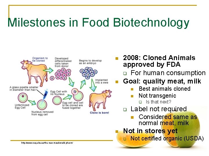 Milestones in Food Biotechnology n n 2008: Cloned Animals approved by FDA q For