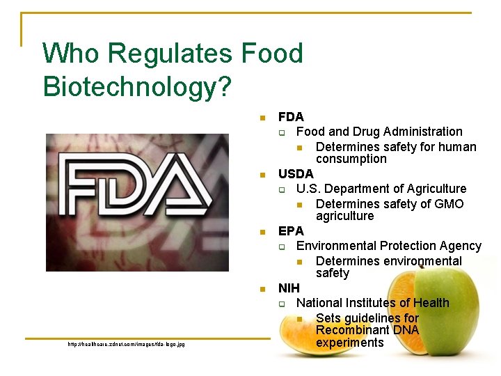 Who Regulates Food Biotechnology? n n http: //healthcare. zdnet. com/images/fda-logo. jpg FDA q Food