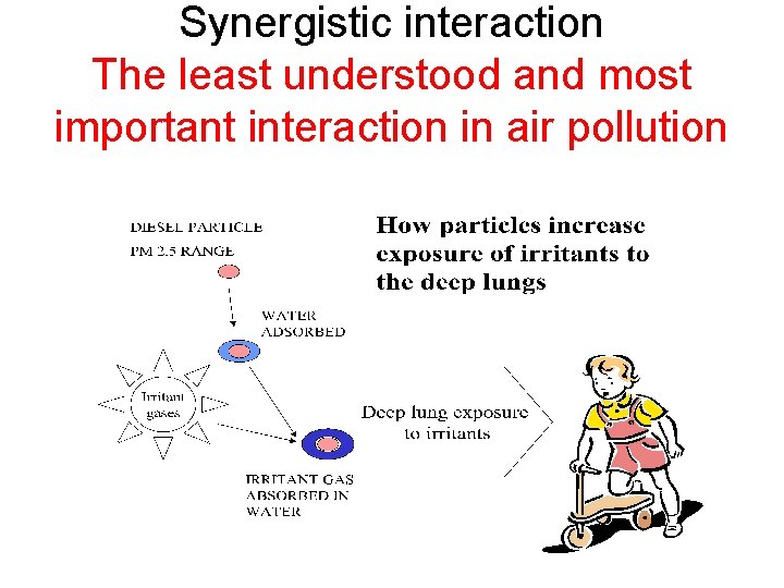 Synergistic interaction The least understood and most important interaction in air pollution 