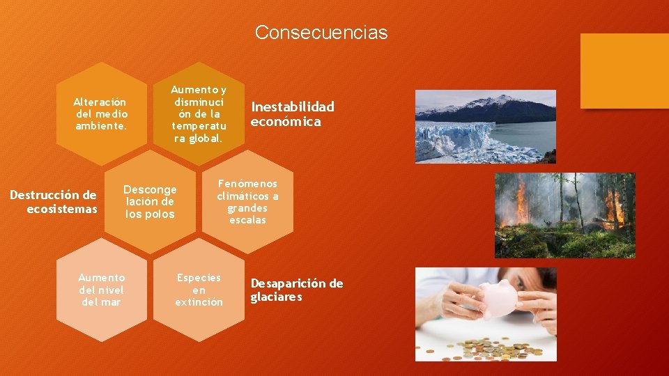 Consecuencias Alteración del medio ambiente. Destrucción de ecosistemas Aumento y disminuci ón de la