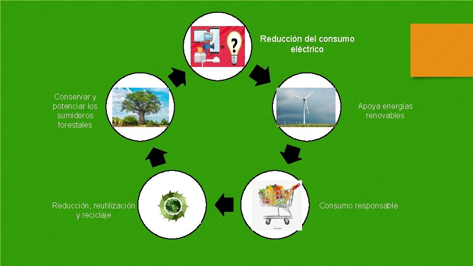 Reducción del consumo eléctrico Conservar y potenciar los sumideros forestales Reducción, reutilización y reciclaje