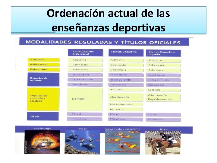 Ordenación actual de las enseñanzas deportivas 