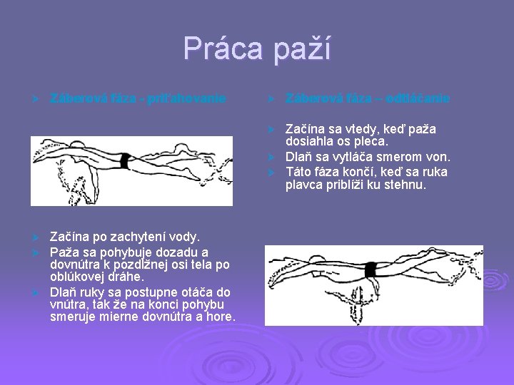 Práca paží Ø Záberová fáza - priťahovanie Ø Záberová fáza – odtláčanie Začína sa