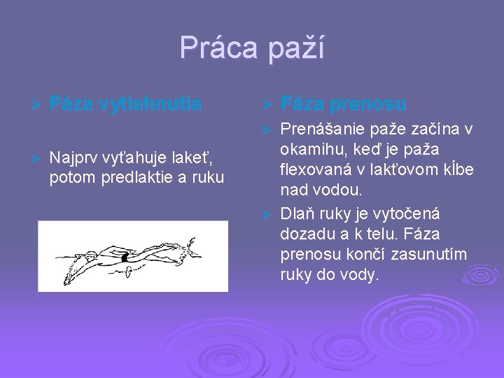 Práca paží Ø Fáza vytiahnutia Ø Prenášanie paže začína v okamihu, keď je paža