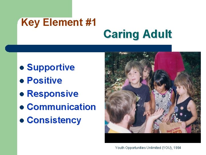 Key Element #1 Caring Adult Supportive l Positive l Responsive l Communication l Consistency