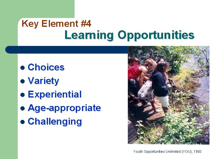 Key Element #4 Learning Opportunities Choices l Variety l Experiential l Age-appropriate l Challenging