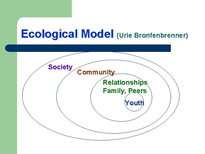 Ecological Model (Urie Bronfenbrenner) Society Community Relationships Family, Peers Youth 