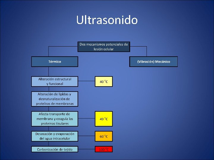 Ultrasonido 