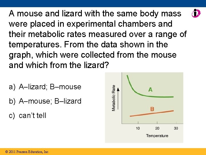 A mouse and lizard with the same body mass were placed in experimental chambers