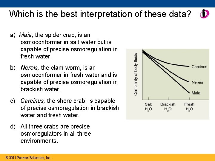 Which is the best interpretation of these data? a) Maia, the spider crab, is