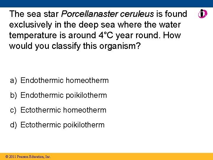 The sea star Porcellanaster ceruleus is found exclusively in the deep sea where the