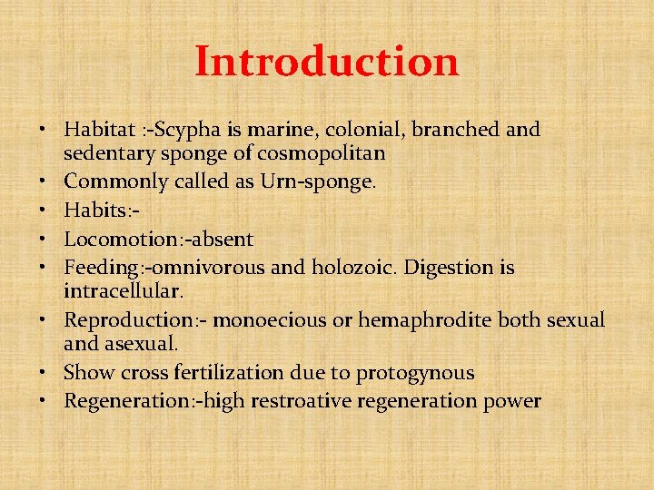 Introduction • Habitat : -Scypha is marine, colonial, branched and sedentary sponge of cosmopolitan Introduction • Habitat : -Scypha is marine, colonial, branched and sedentary sponge of cosmopolitan