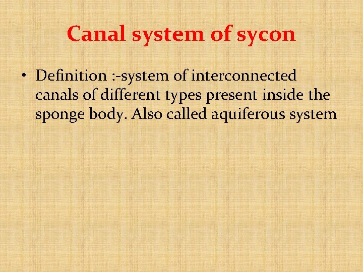 Canal system of sycon • Definition : -system of interconnected canals of different types Canal system of sycon • Definition : -system of interconnected canals of different types
