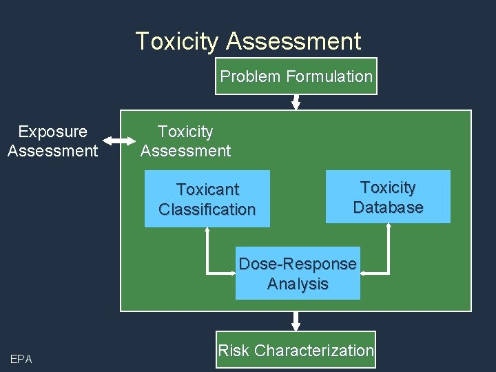 Toxicity Assessment Problem Formulation Exposure Assessment Toxicity Assessment Toxicant Classification Toxicity Database Dose-Response Analysis