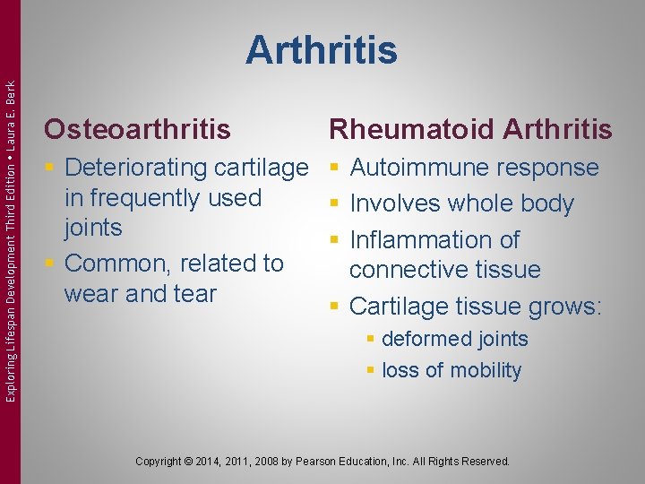 Exploring Lifespan Development Third Edition Laura E. Berk Arthritis Osteoarthritis Rheumatoid Arthritis § Deteriorating