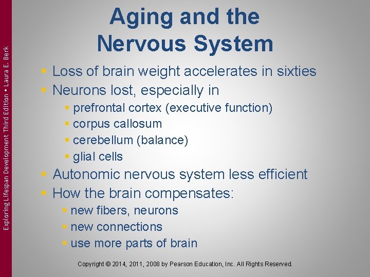 Exploring Lifespan Development Third Edition Laura E. Berk Aging and the Nervous System §