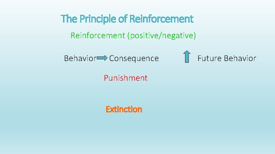 The Principle of Reinforcement (positive/negative) Behavior Consequence Punishment Extinction Future Behavior 
