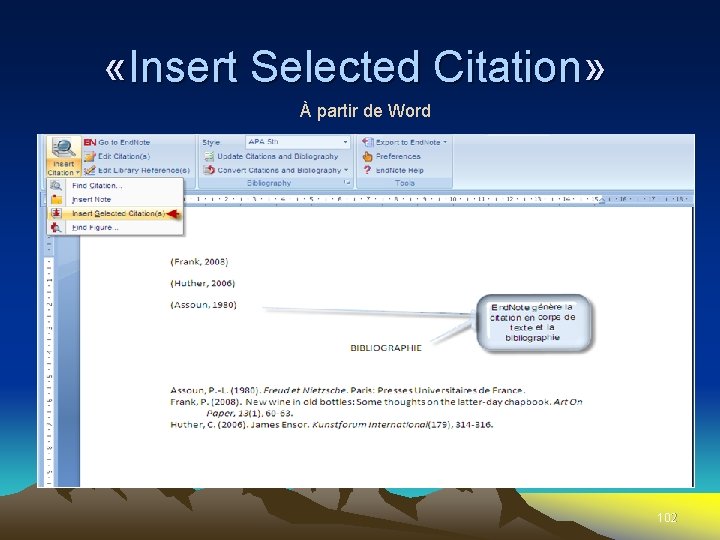  «Insert Selected Citation» À partir de Word 102 