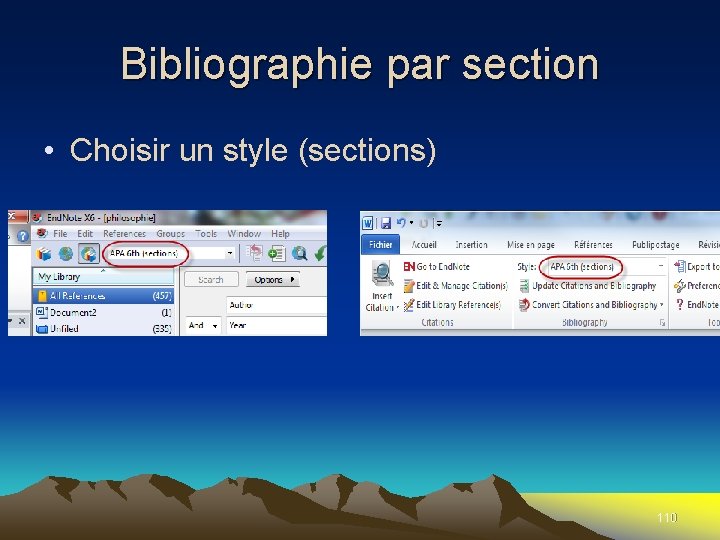Bibliographie par section • Choisir un style (sections) 110 