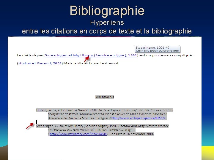 Bibliographie Hyperliens entre les citations en corps de texte et la bibliographie 113 