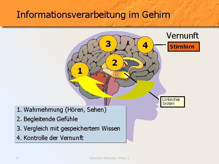 Informationsverarbeitung im Gehirn 3 4 Stirnhirn 2 1 1. Wahrnehmung (Hören, Sehen) 2. Begleitende