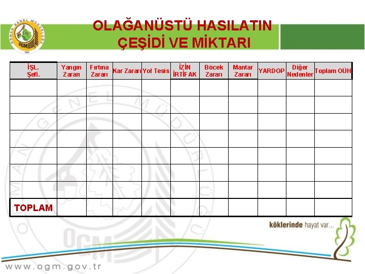 OLAĞANÜSTÜ HASILATIN ÇEŞİDİ VE MİKTARI İŞL. Şefi. TOPLAM Yangın Zararı Fırtına İZİN Kar Zararı