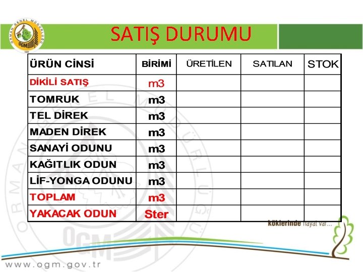 SATIŞ DURUMU 