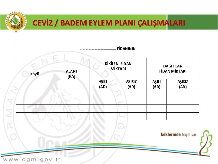 CEVİZ / BADEM EYLEM PLANI ÇALIŞMALARI ……………… FİDANININ Köyü DİKİLEN FİDAN MİKTARI ALANI (HA)