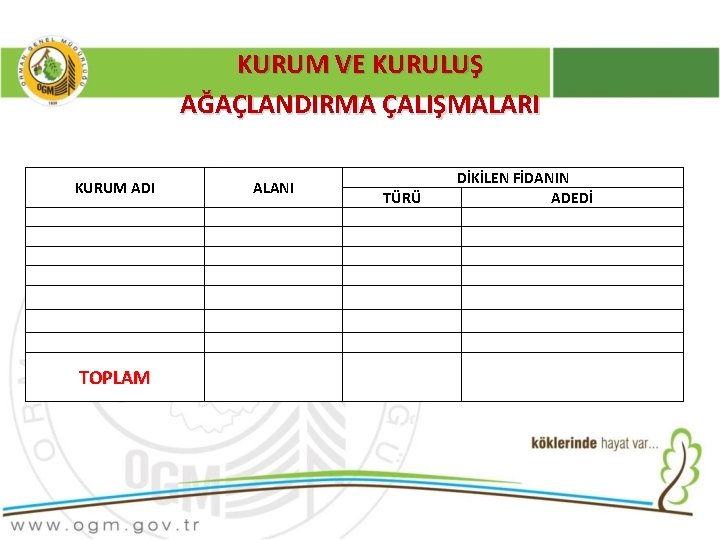 KURUM VE KURULUŞ AĞAÇLANDIRMA ÇALIŞMALARI KURUM ADI ALANI TOPLAM TÜRÜ DİKİLEN FİDANIN ADEDİ 