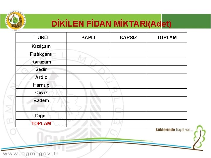 DİKİLEN FİDAN MİKTARI(Adet) TÜRÜ KAPLI KAPSIZ Kızılçam Fıstıkçamı Karaçam Sedir Ardıç Harnup Ceviz Badem